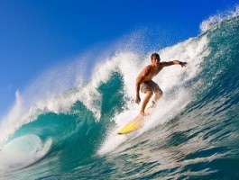 包含kok综合.最新的在哪里.中国的词条